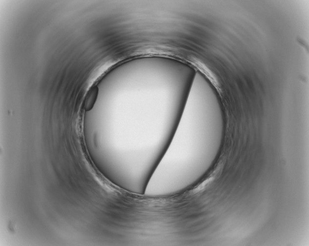 X0000096410893200801241023