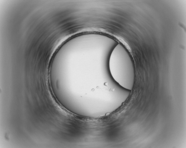 X0000096410895200801241023