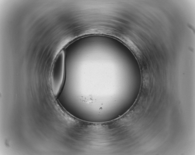 X0000096410896200801241023