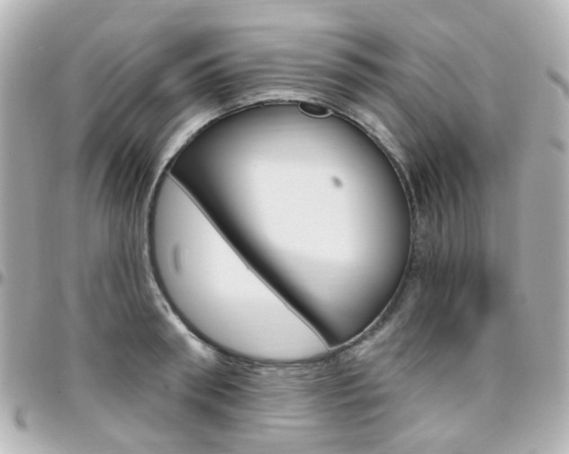 X0000096410898200801241023