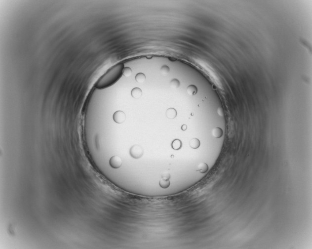 X0000096410899200801241023