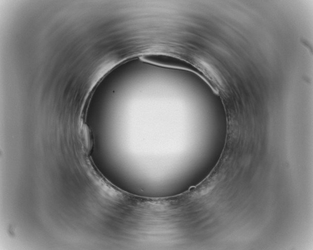 X0000096410900200801241023