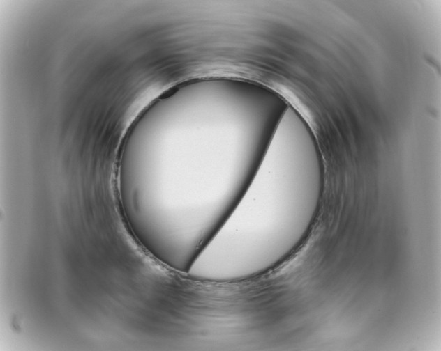 X0000096410901200801241023