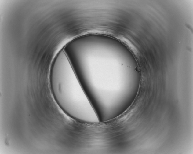 X0000096410902200801241023