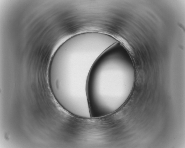 X0000096410904200801241023