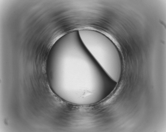 X0000096410905200801241022