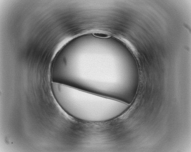 X0000096410910200801241022