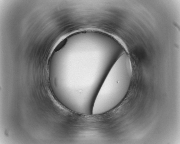 X0000096410911200801241022