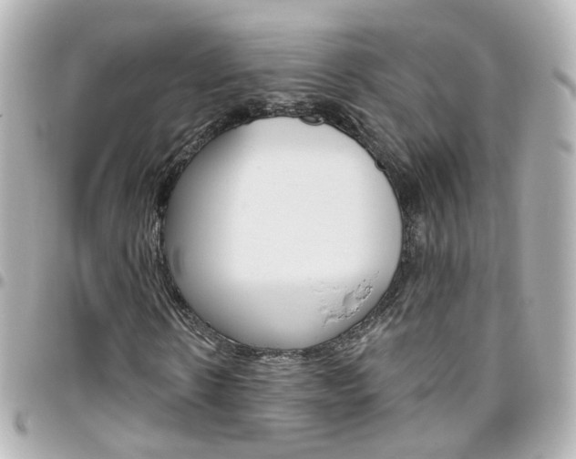 X0000096410914200801241022