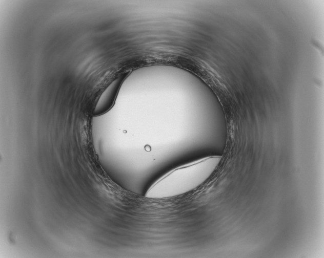 X0000096410915200801241022