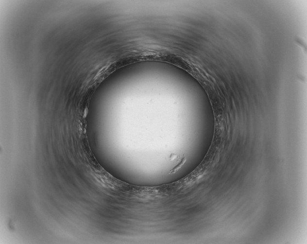 X0000096410916200801241022