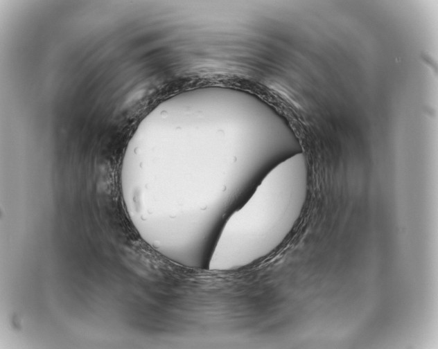 X0000096410917200801241022
