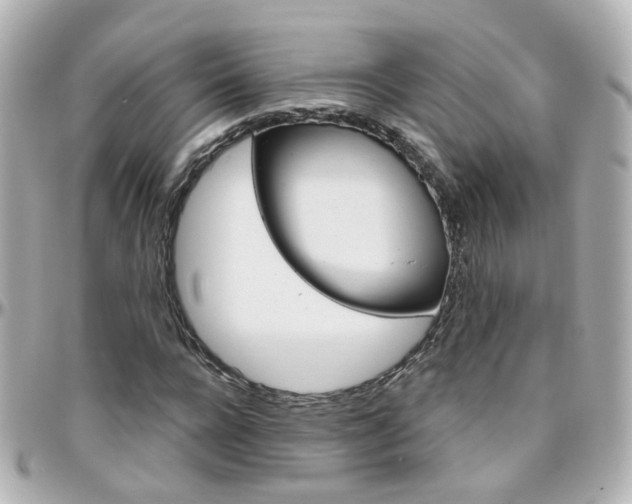 X0000096410920200801241022
