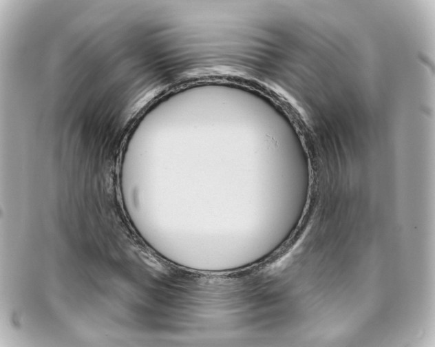 X0000096410921200801241022