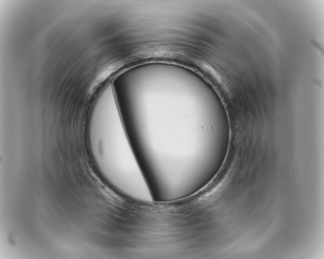 X0000096410922200801241022