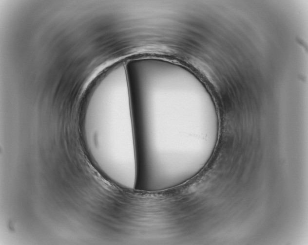 X0000096410923200801241022