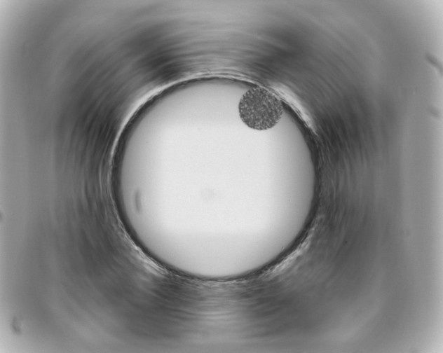 X0000096410924200801241022