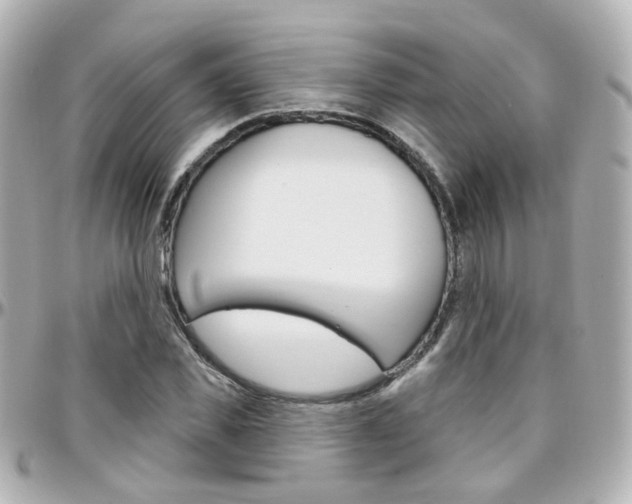 X0000096410925200801241022