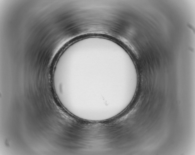 X0000096410926200801241022