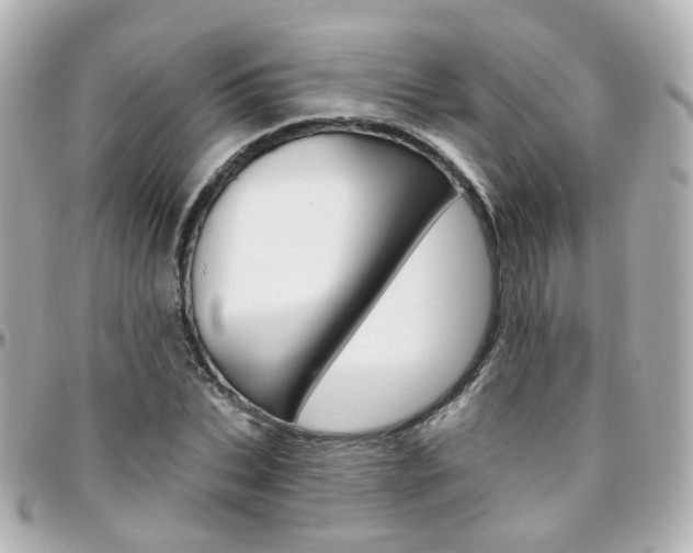 X0000096410927200801241022