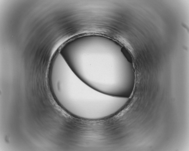 X0000096410928200801241022