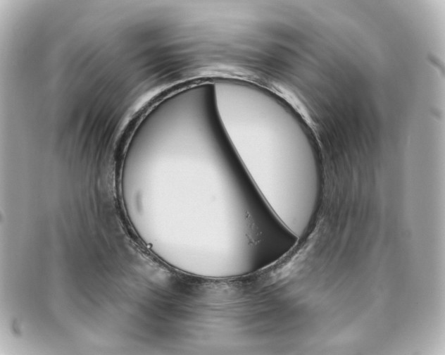 X0000096410931200801241022
