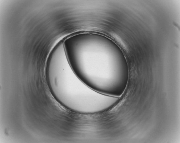 X0000096410932200801241022