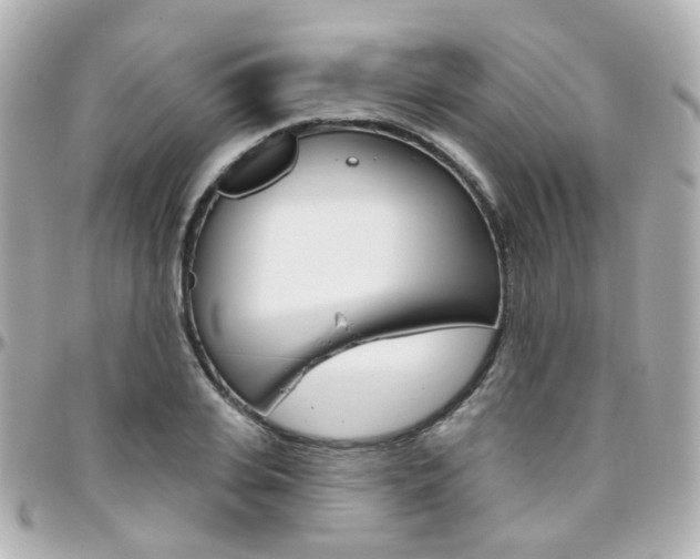 X0000096410935200801241022