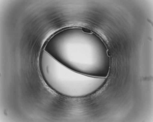 X0000096410936200801241022