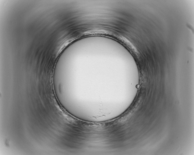 X0000096410937200801241022
