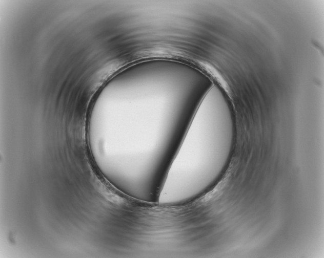 X0000096410938200801241022