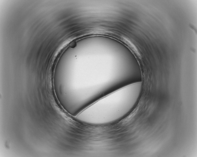 X0000096410939200801241022