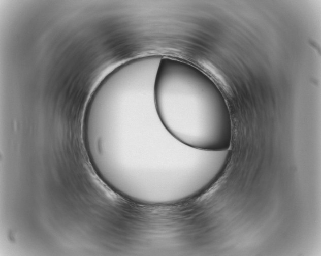 X0000096410940200801241022