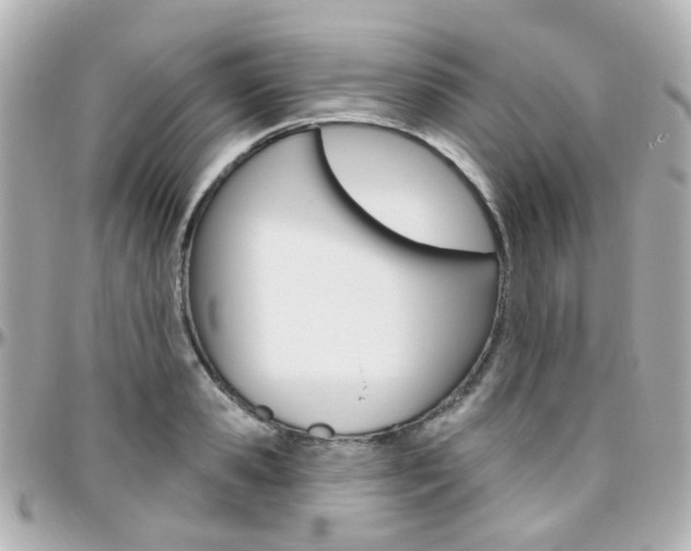 X0000096410941200801241022