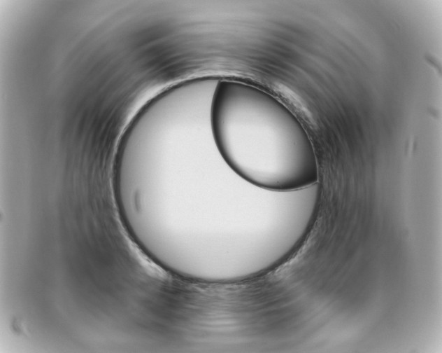 X0000096410942200801241022