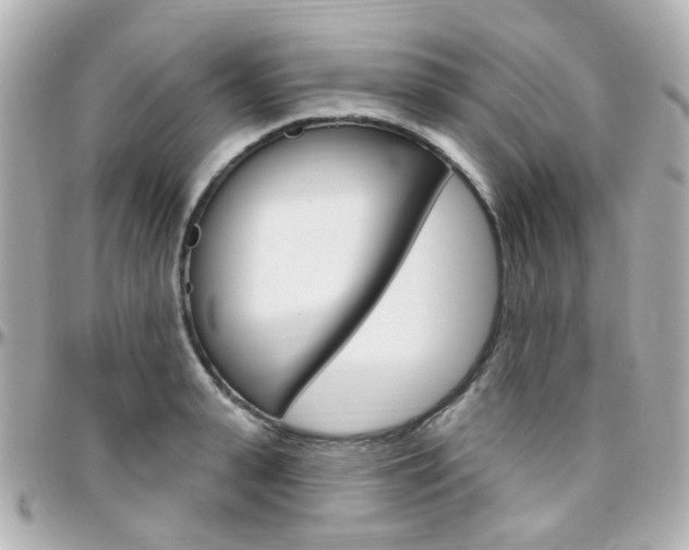 X0000096410943200801241022