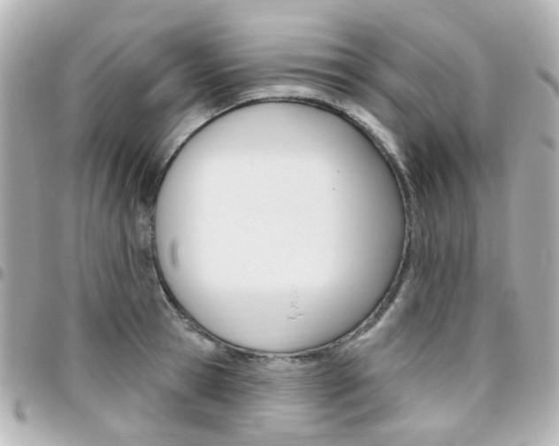 X0000096410945200801241022