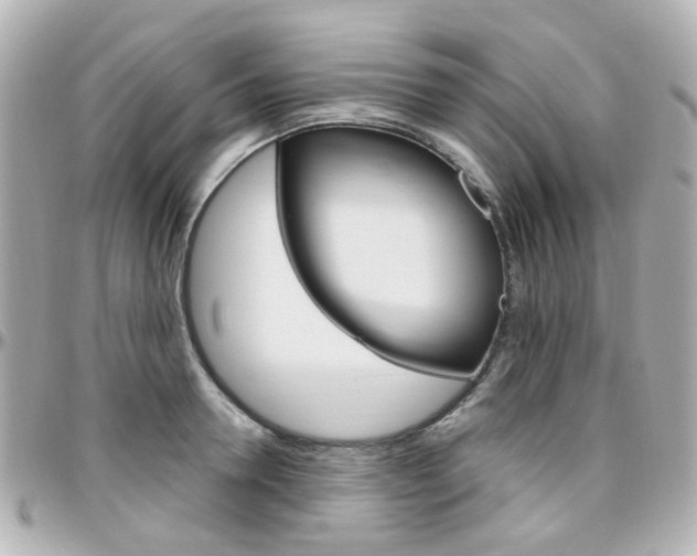 X0000096410946200801241022