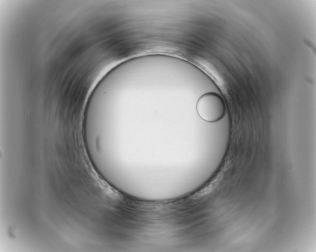 X0000096410948200801241022