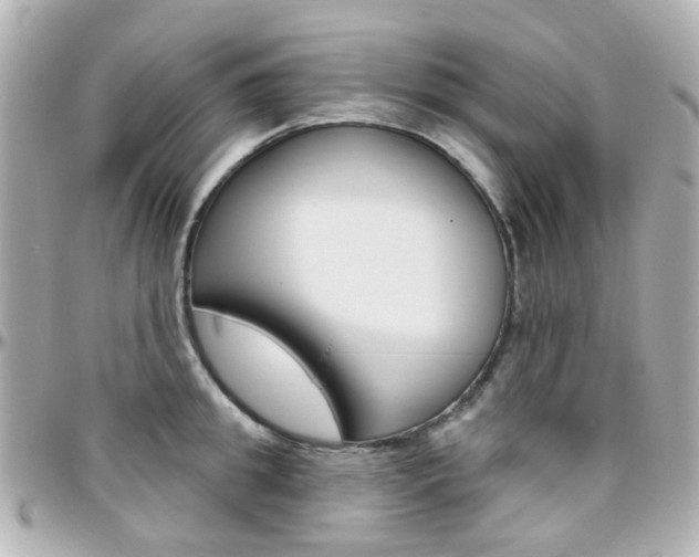 X0000096410949200801241022