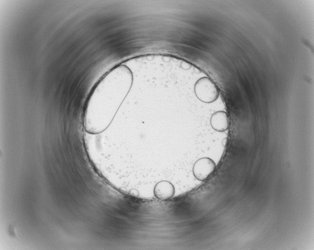 X0000096410950200801241022
