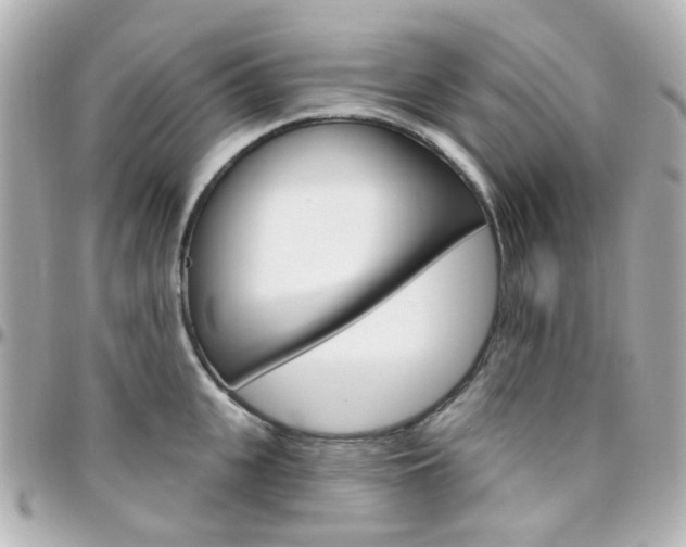 X0000096410951200801241022