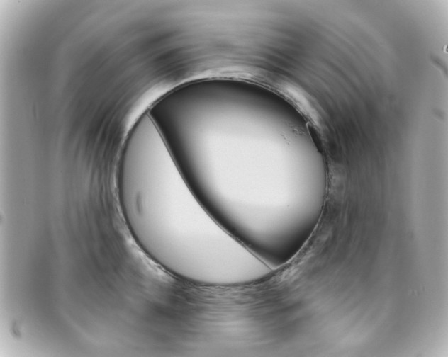 X0000096410952200801241022