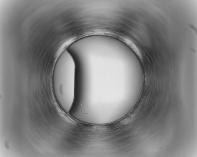 X0000096410954200801241022