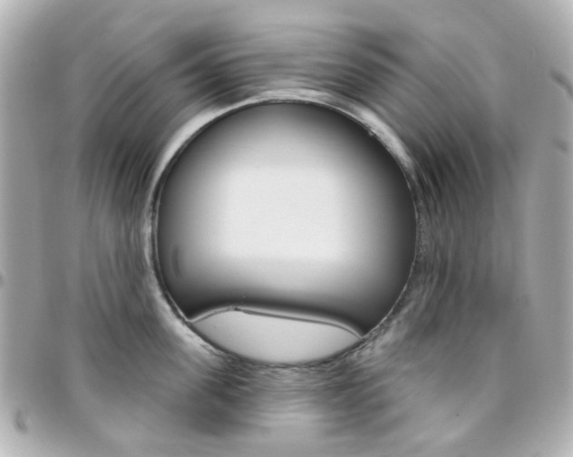 X0000096410955200801241022