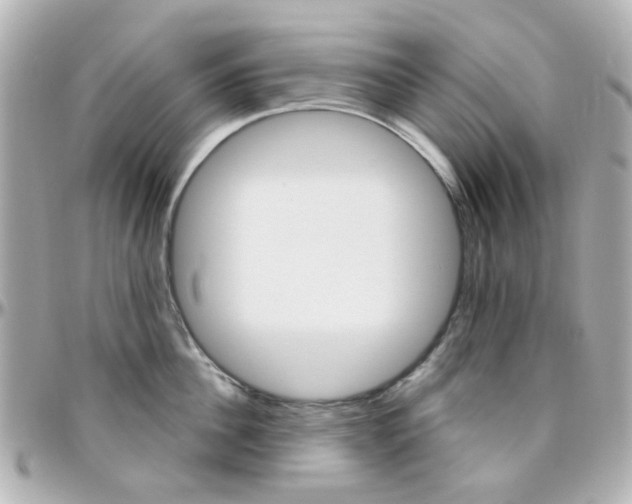 X0000096410956200801241022