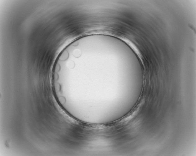 X0000096410957200801241022
