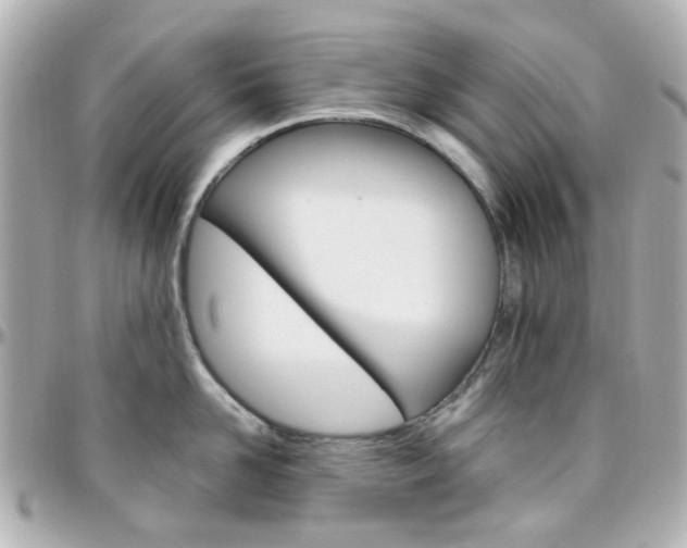 X0000096410958200801241022