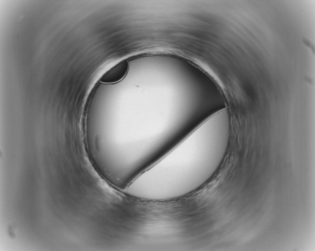 X0000096410959200801241022