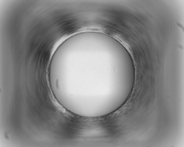 X0000096410960200801241022
